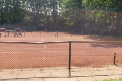 tennis-6